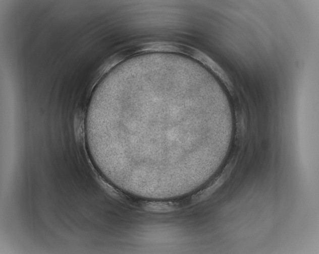 X0000111441049200908101011