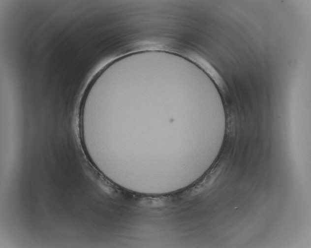 X0000111441051200908101011