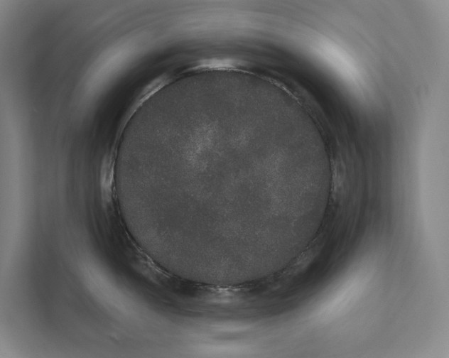 X0000111441052200908101011