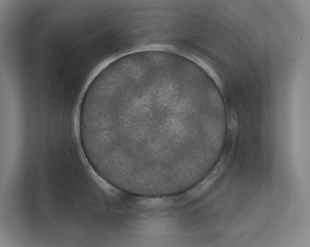 X0000111441054200908101011