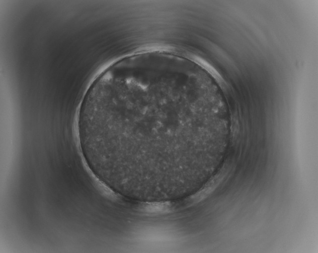 X0000111441055200908101011