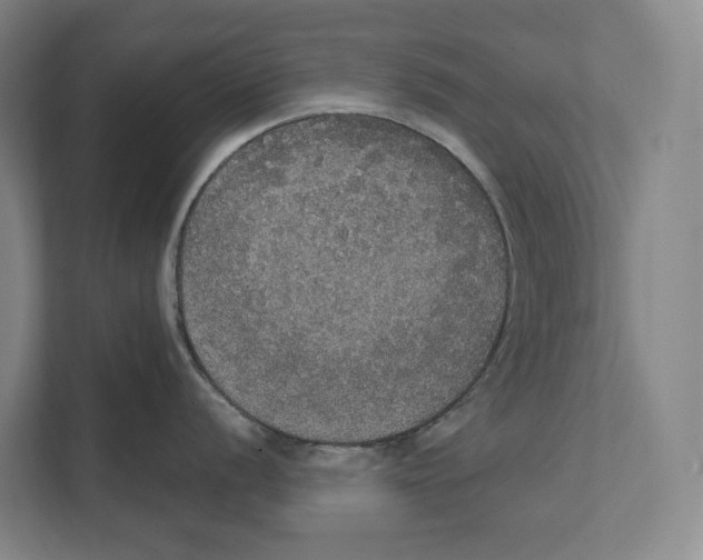 X0000111441056200908101011