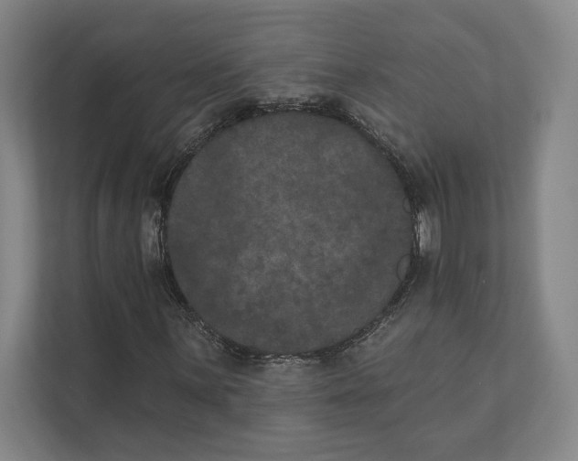 X0000111441059200908101010