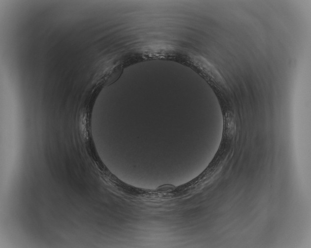 X0000111441060200908101010