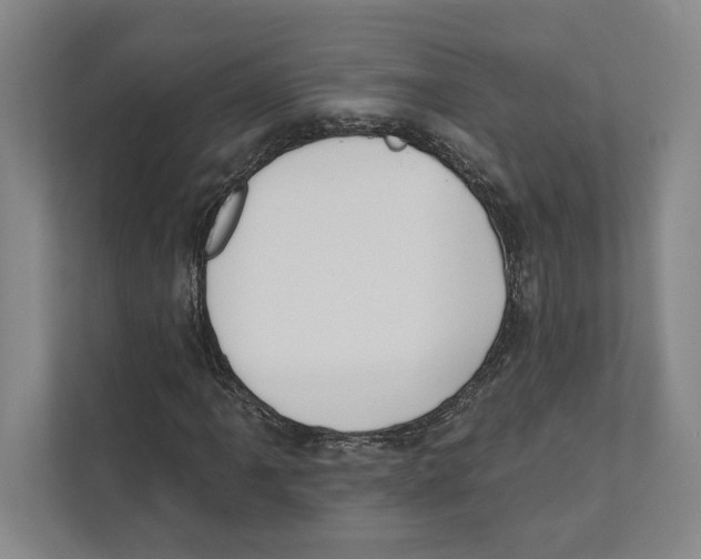 X0000111441061200908101010