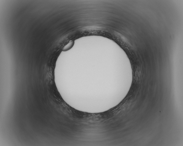 X0000111441062200908101010