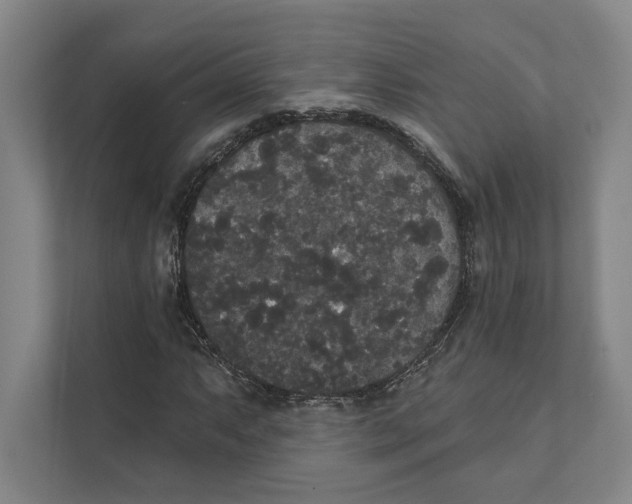 X0000111441063200908101010