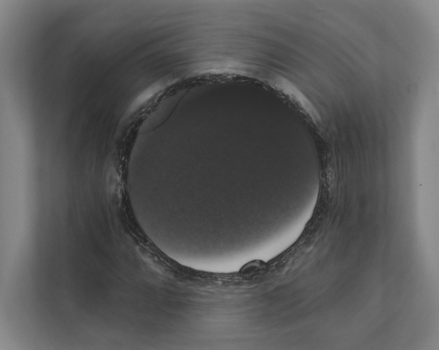 X0000111441064200908101010