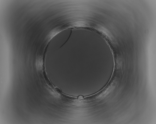 X0000111441065200908101010