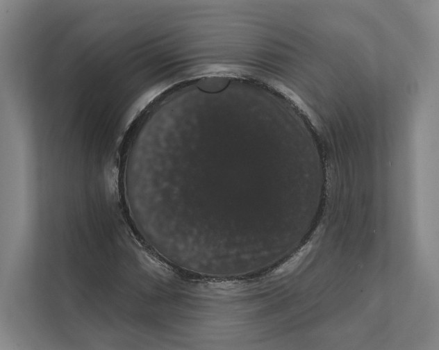 X0000111441066200908101010