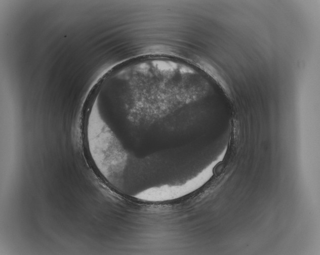 X0000111441068200908101010