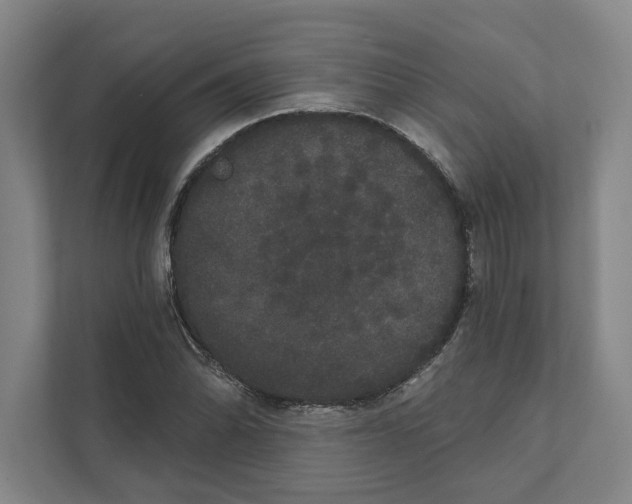 X0000111441070200908101010