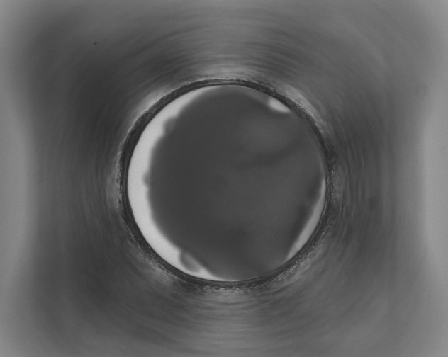 X0000111441071200908101010