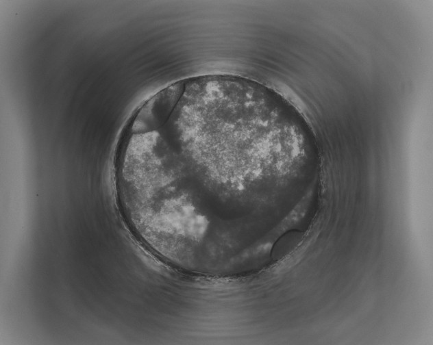 X0000111441072200908101010