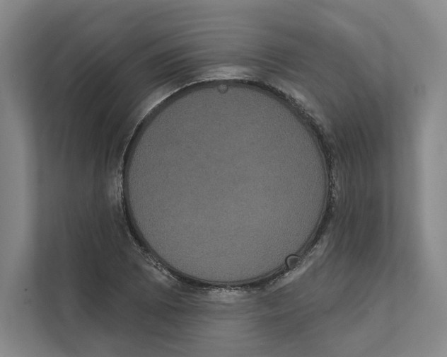 X0000111441073200908101010