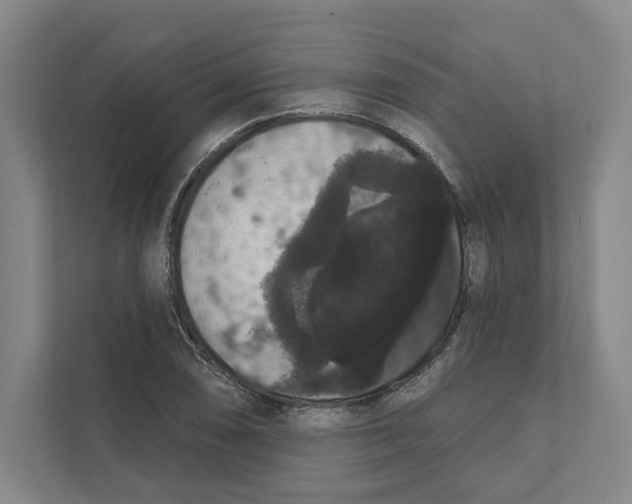 X0000111441074200908101010