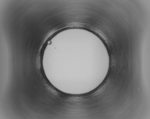 X0000111441075200908101010