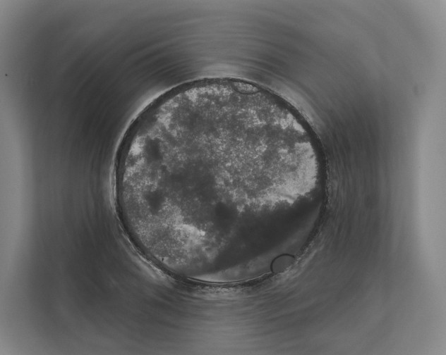 X0000111441076200908101010