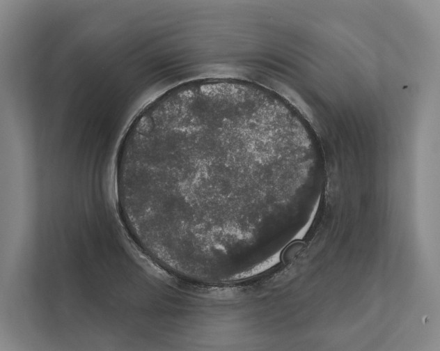 X0000111441080200908101010