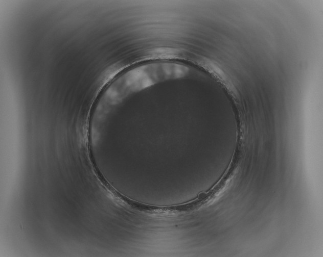 X0000111441081200908101010