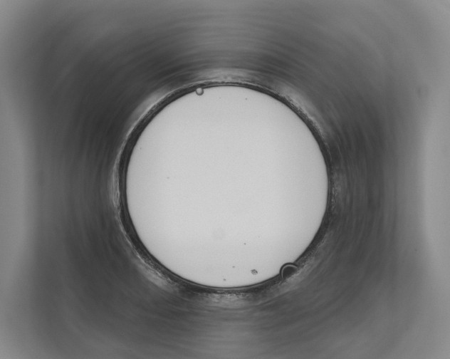 X0000111441082200908101010