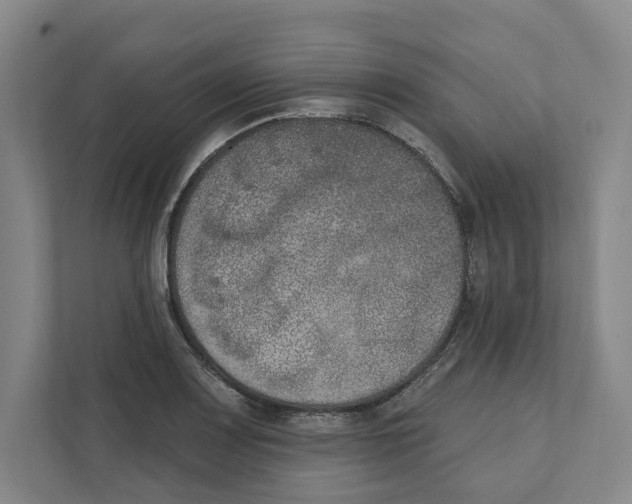 X0000111441083200908101010