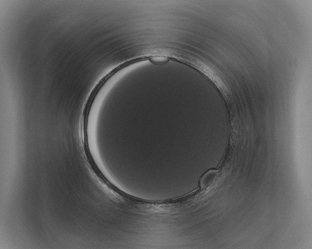 X0000111441084200908101010