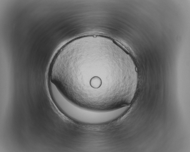 X0000111441086200908101010