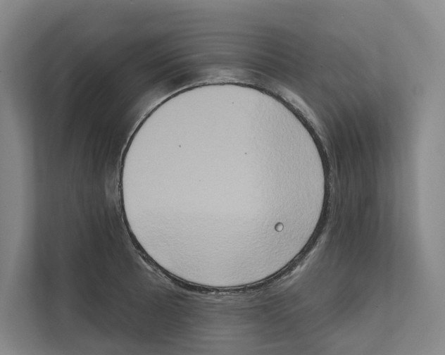 X0000111441089200908101010