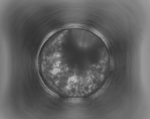 X0000111441090200908101010