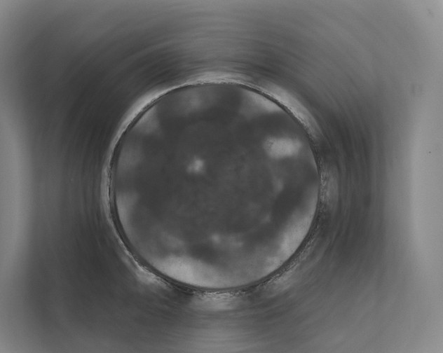 X0000111441094200908101010