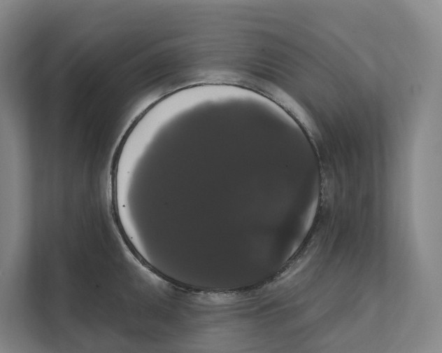 X0000111441095200908101010