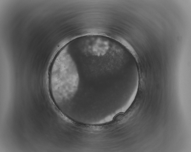 X0000111441096200908101010