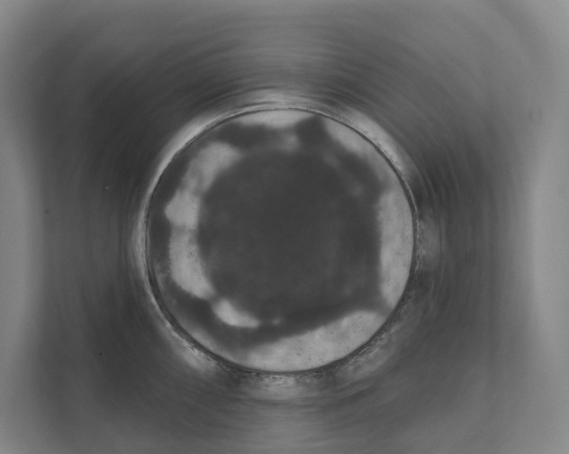 X0000111441098200908101009