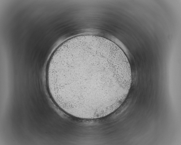 X0000111441099200908101009