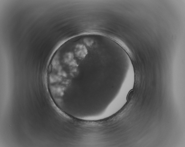 X0000111441100200908101009