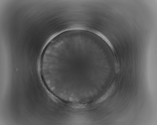 X0000111441101200908101009