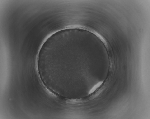 X0000111441102200908101009