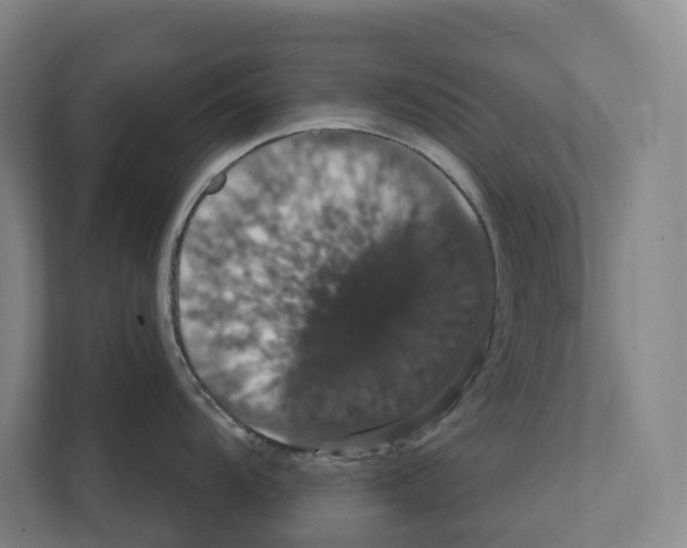 X0000111441104200908101009