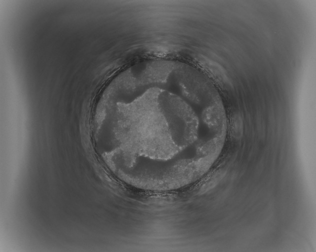 X0000111441105200908101009