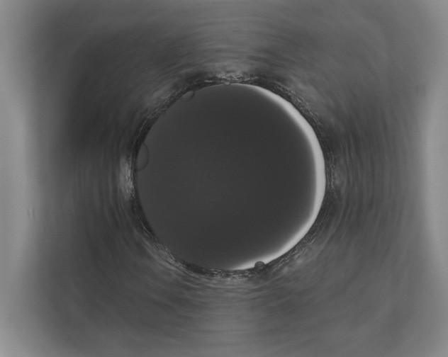 X0000111441106200908101009