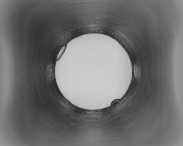 X0000111441107200908101009