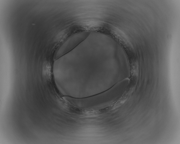 X0000111441108200908101009