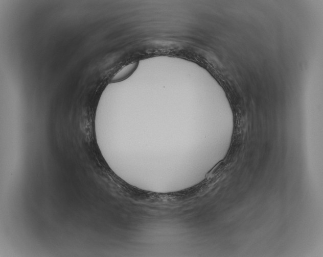 X0000111441109200908101009