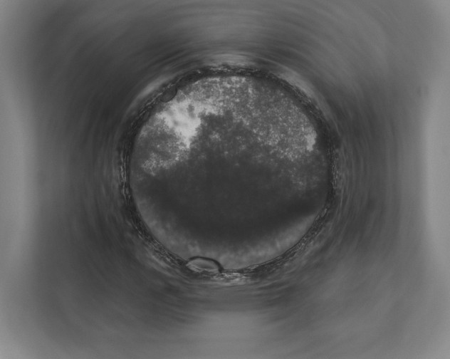 X0000111441112200908101009