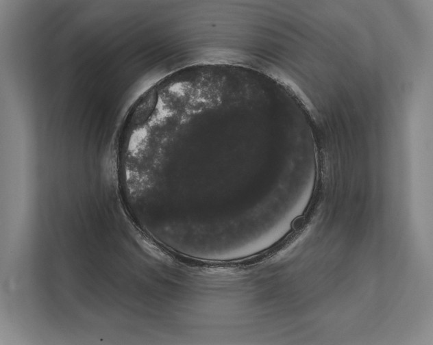 X0000111441114200908101009