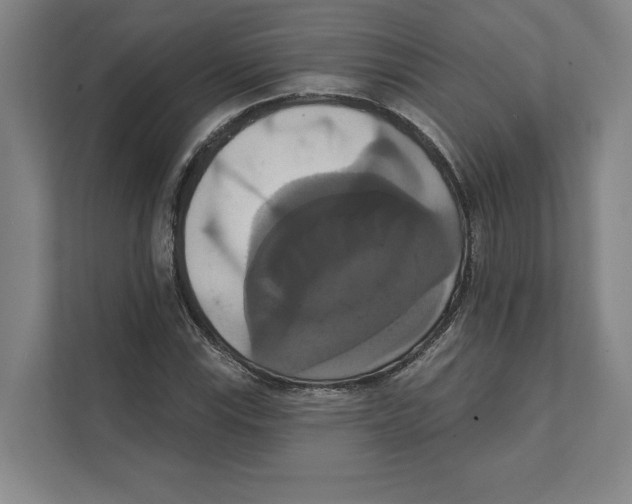 X0000111441115200908101009