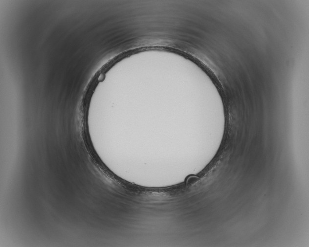 X0000111441119200908101009