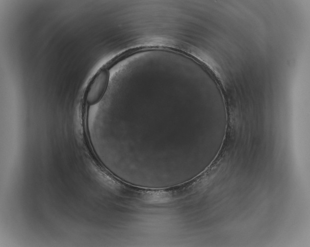 X0000111441120200908101009