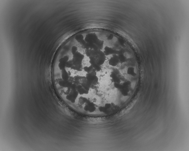 X0000111441121200908101009